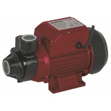 RAIDER ΑΝΤΛΙΑ ΗΛΕΚ. ΠΕΡΙΦΕΡΙΑΚΗ ΝΕΡΟΥ RD-PK60 370W 070101