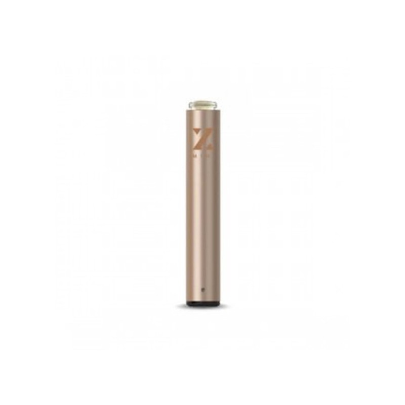 Zeep Mini Spare battery Champagne